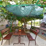 Snezana 2265 Pula